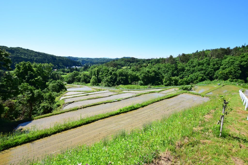 ひぐらし農園の景観