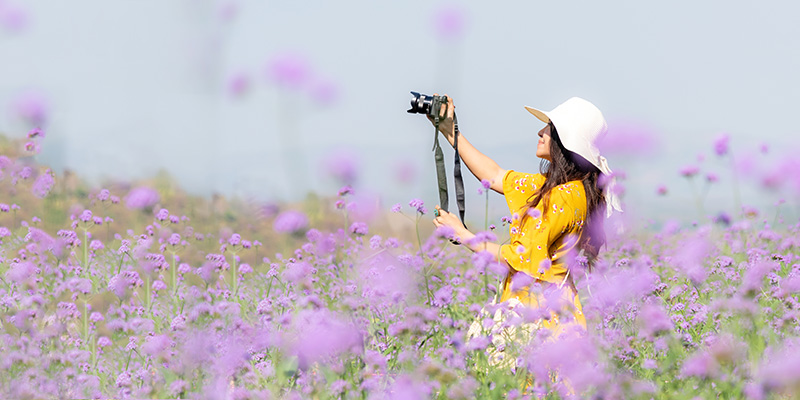 写真を楽しむ会